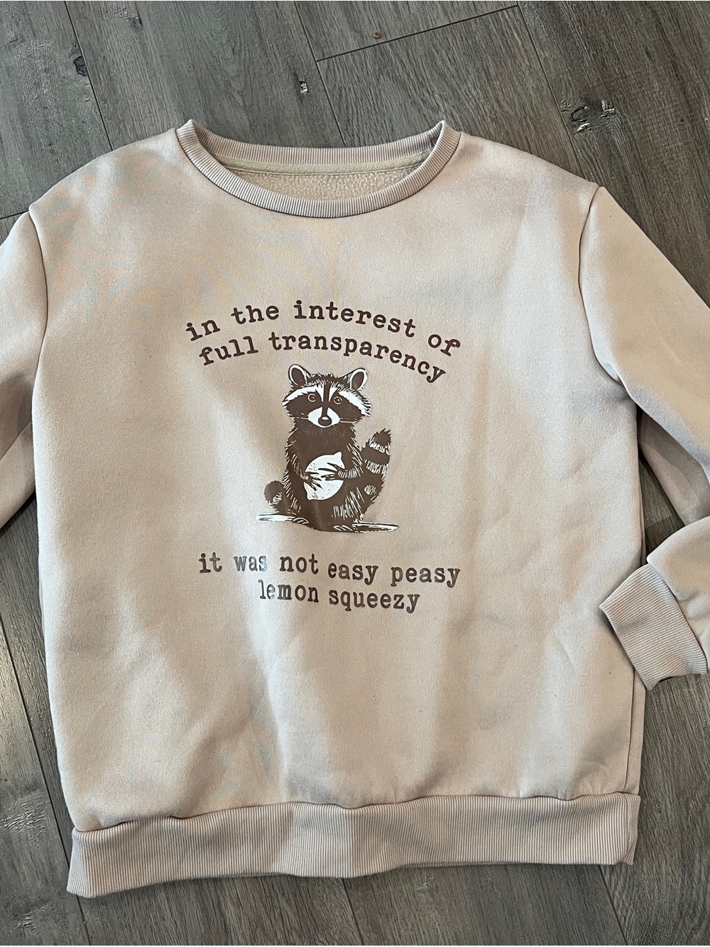 Crewneck Sweatshirt with Raccoon Graphic - Beige